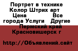 Портрет в технике “Колор-Штрих-арт“ › Цена ­ 250-350 - Все города Услуги » Другие   . Пермский край,Красновишерск г.